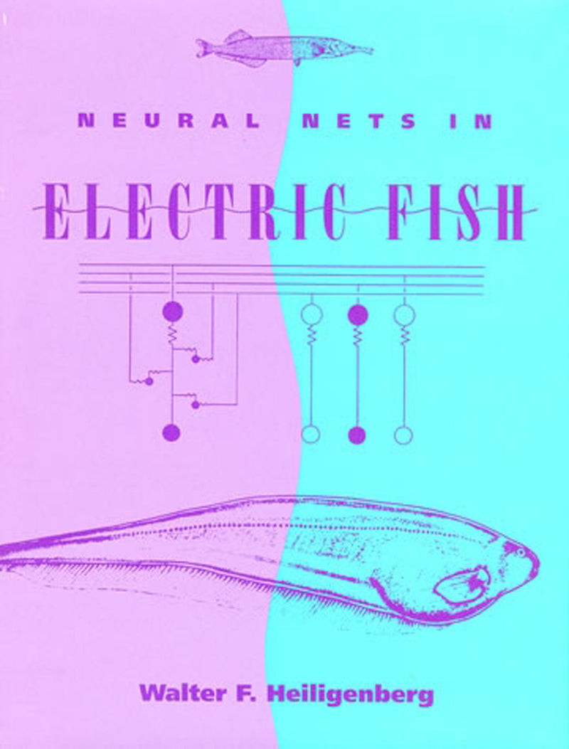 Computational Neuroscience Series