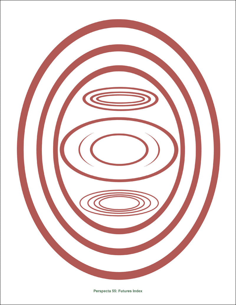 Perspecta 55