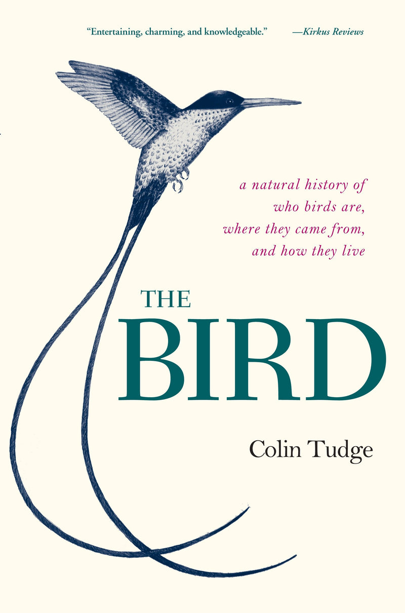 The Bird