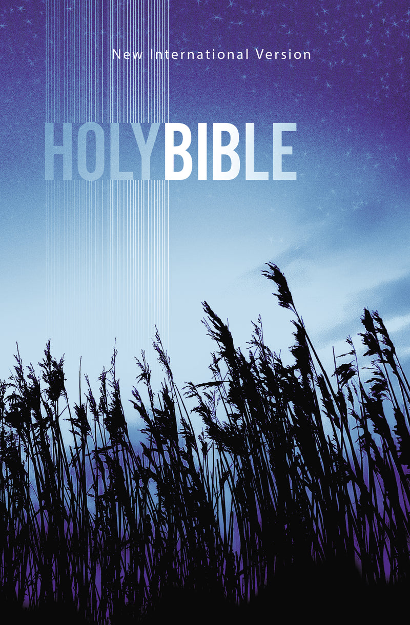 NIV, Value Outreach Bible, Paperback