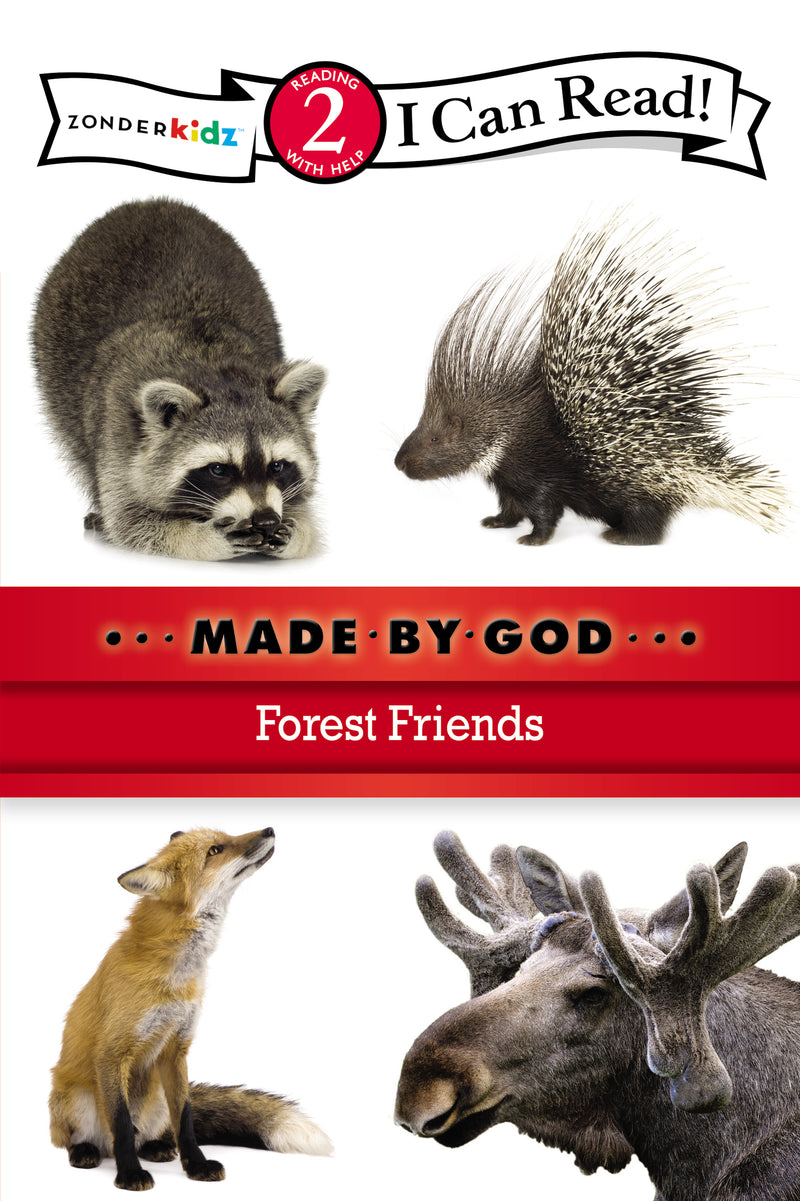 Forest Friends: Level 2