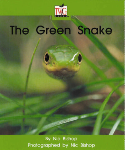 Twig Level G The Green Snake 6 Pack