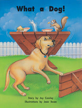 Story Basket What A Dog Big Book