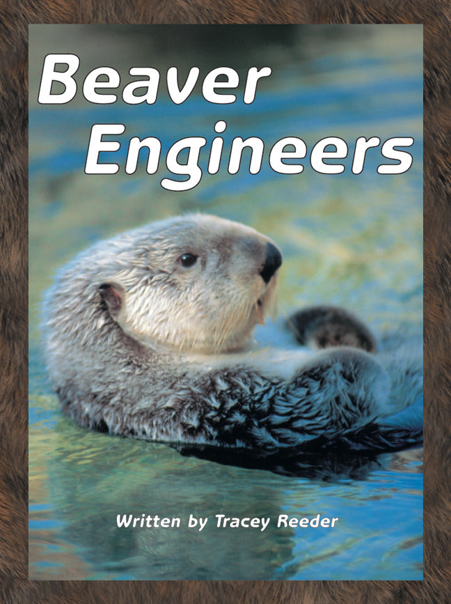 Take Two Beaver Engineers Level L 6 Pack