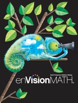 envision Math Grd. 2 Resource material 1 thur 20 w/teachers guide & lessons [Unknown Binding] unknown author