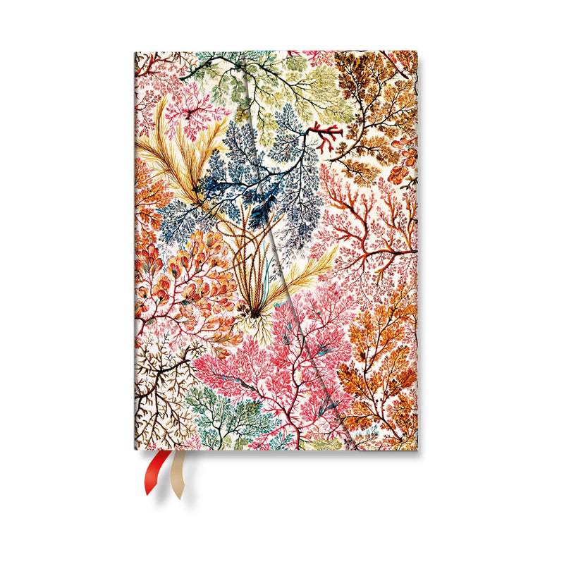 2027 Anemone Midi Horizontal Hardcover 12-Month Weekly Planner, 160pg, 100GSM by Paperblanks (William Kilburn)
