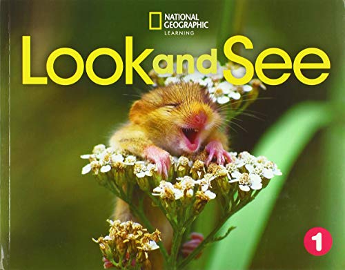 Look and See 1 with the Spark platform (AME)