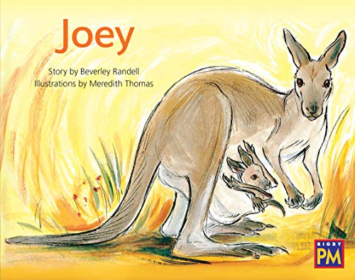 Rigby PM Leveled Reader Green Fiction Level 14 Grade 1-2 Joey