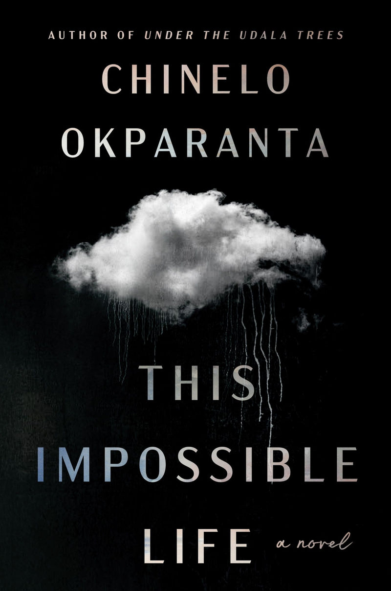 This Impossible Life: A Novel
