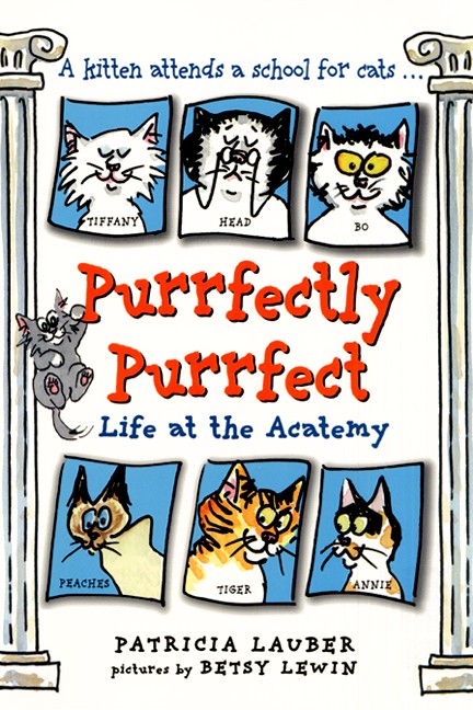 Purrfectly Purrfect