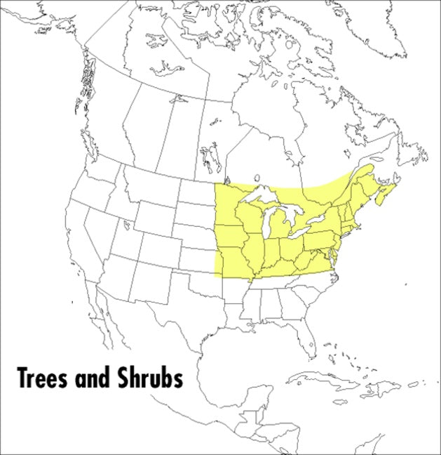 A Peterson Field Guide To Trees And Shrubs: Northeastern and north-central United States and southeastern and south-centralCanada