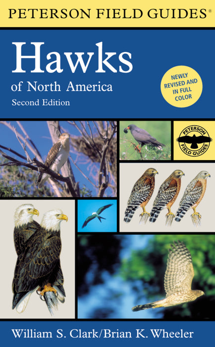 A Peterson Field Guide To Hawks Of North America