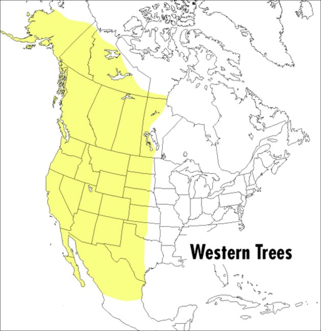 A Peterson Field Guide To Western Trees