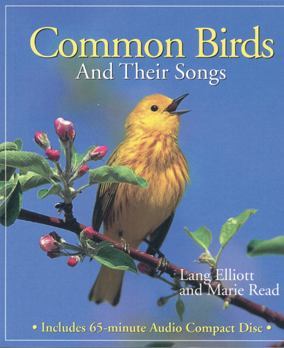 Common Birds And Their Songs