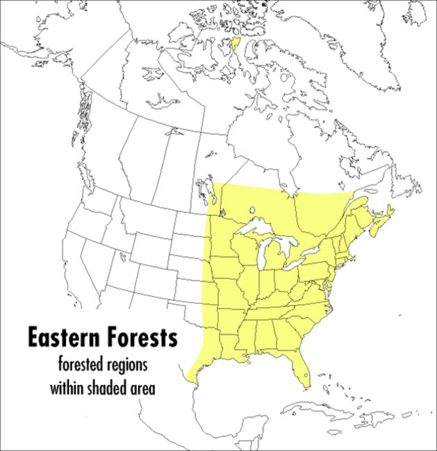 A Peterson Field Guide To Eastern Forests: North America