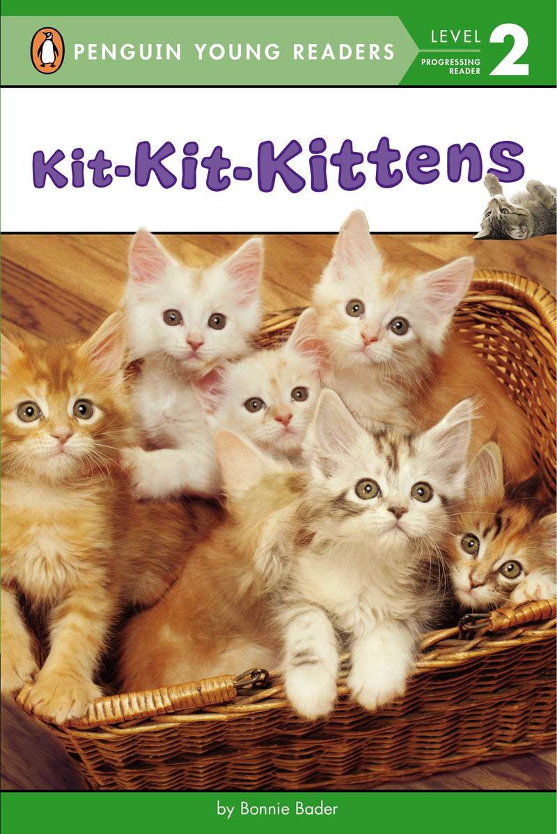 Kit-Kit-Kittens