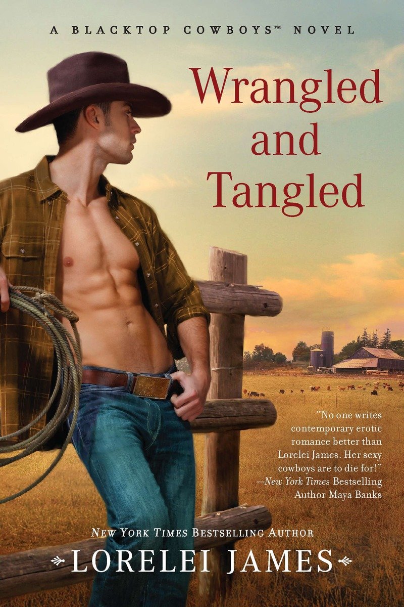Blacktop Cowboys Novel