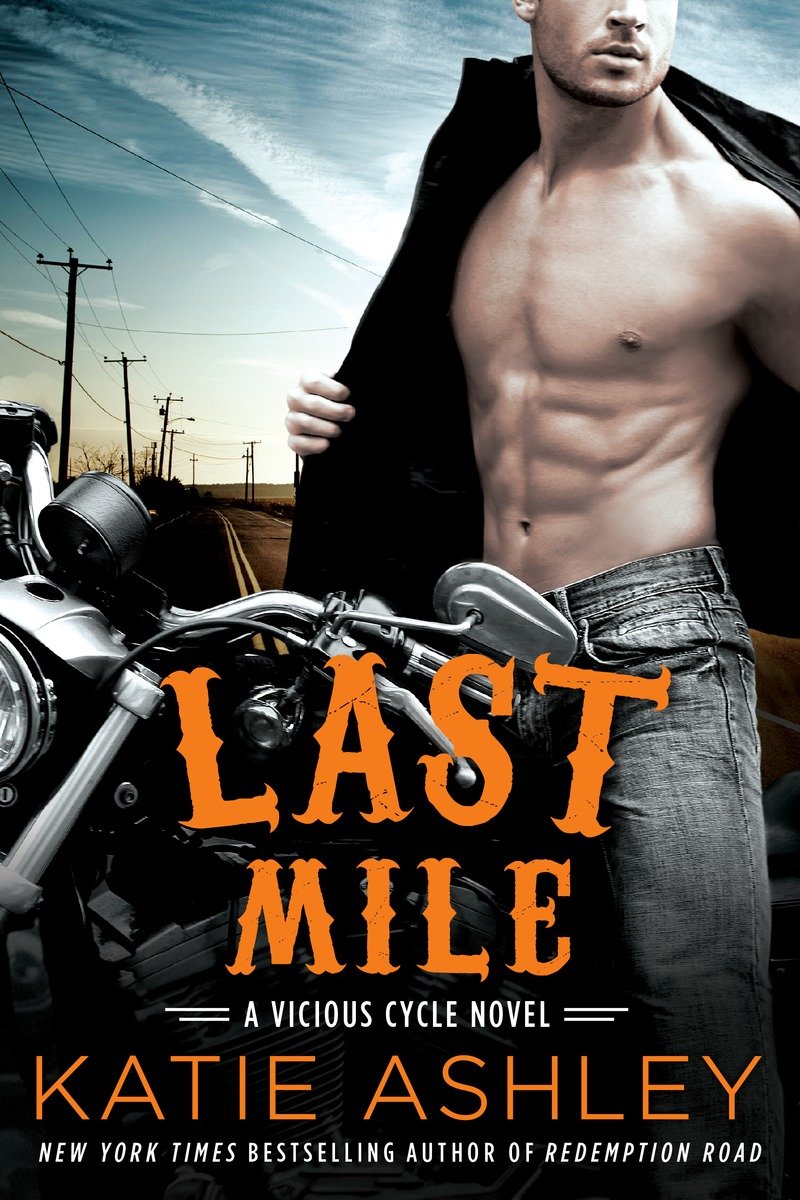 A Vicious Cycle Novel