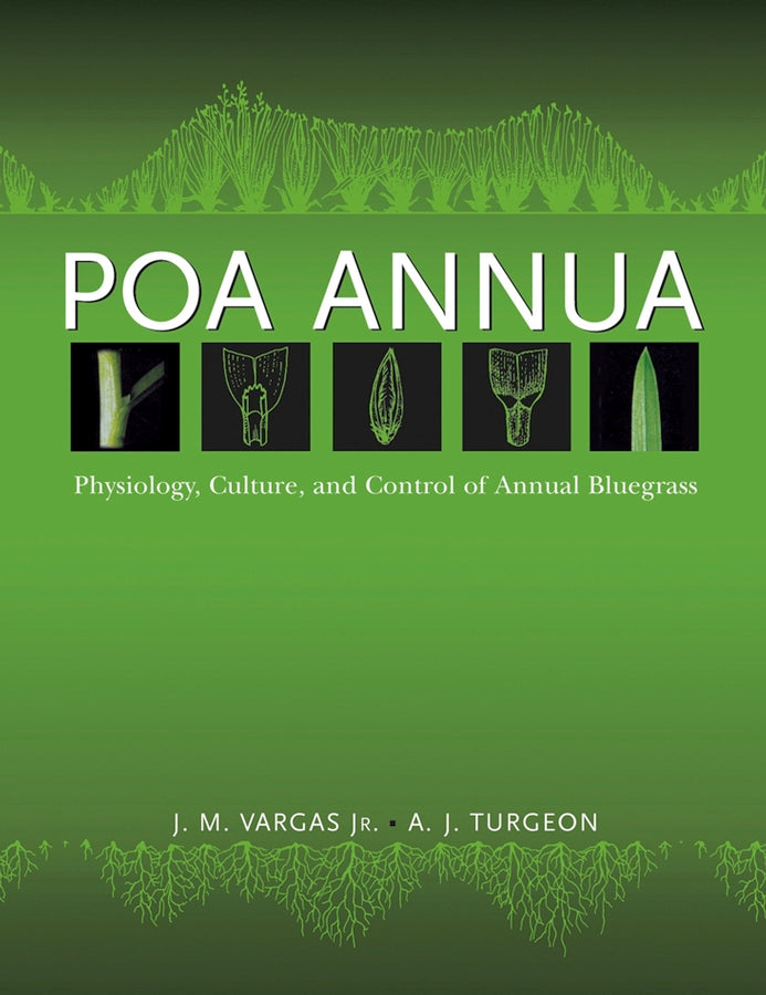 Poa Annua