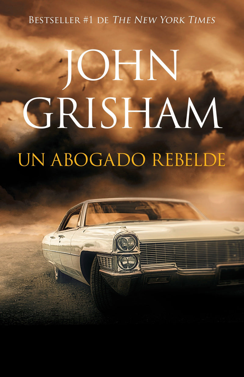 Un abogado rebelde / Rogue Lawyer