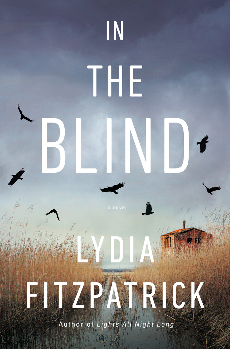 In the Blind: A Novel