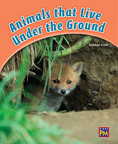 PM Leveled Reader Orange Level 16 Animals that Live Underground