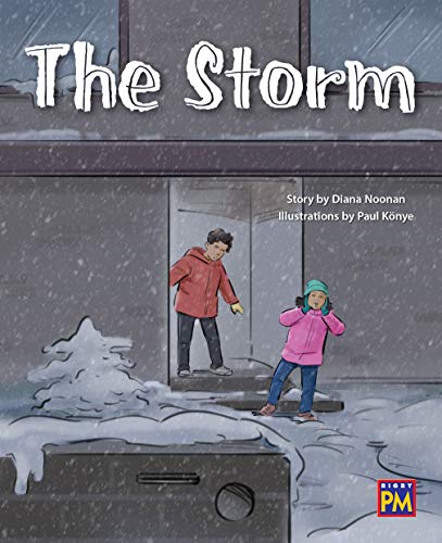 PM Leveled Reader Purple Level 20 The Storm