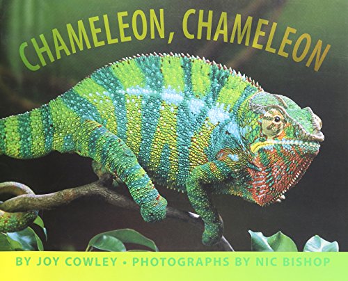 Houghton Mifflin Harcourt Journeys Little Big Book Grade K Chameleon, Chameleon