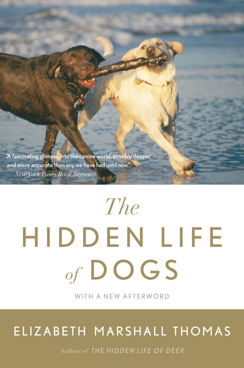 The Hidden Life Of Dogs