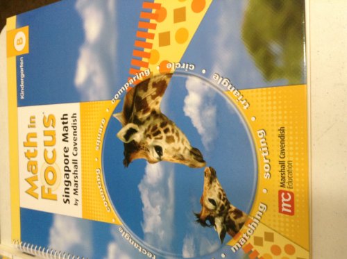 Math in Focus: Singapore Math Big Book Volume B