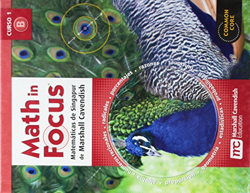Math in Focus: Singapore Math, Spanish Student Edition Grade 6 Volume B 2012