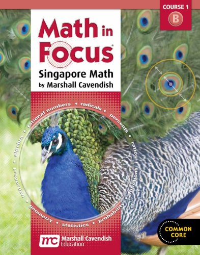Math in Focus: Singapore Math Homeschool Package, 2nd semester Grade 6