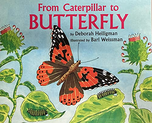 Journeys Little Big Book Grade K From Caterpillar to Butterfly