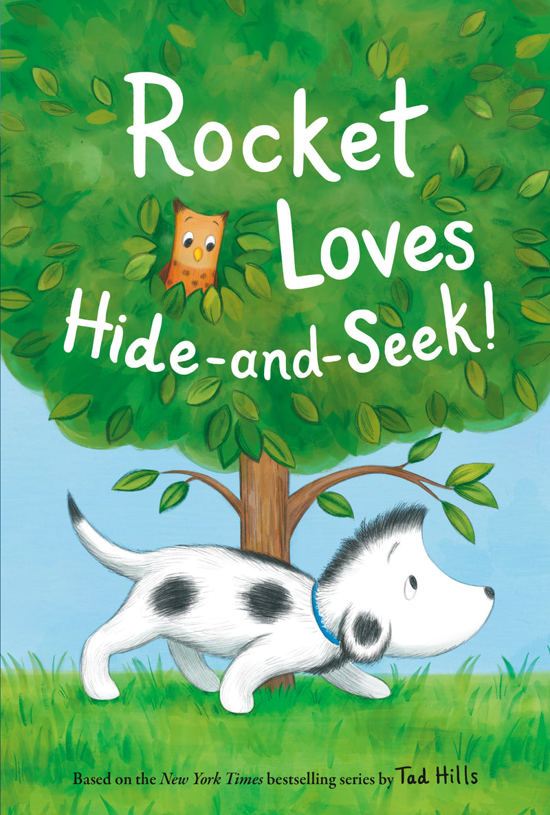 Rocket
