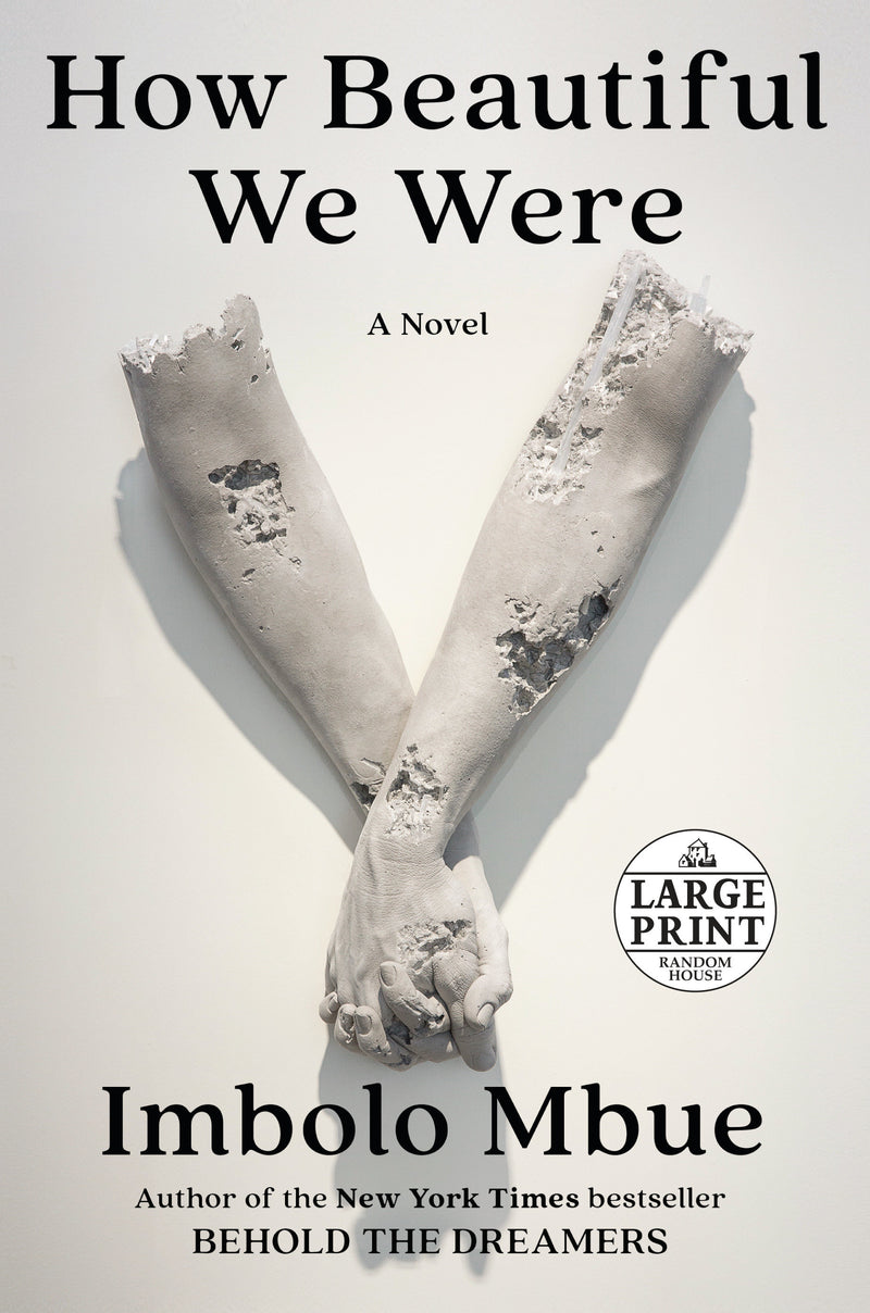 How Beautiful We Were: A Novel