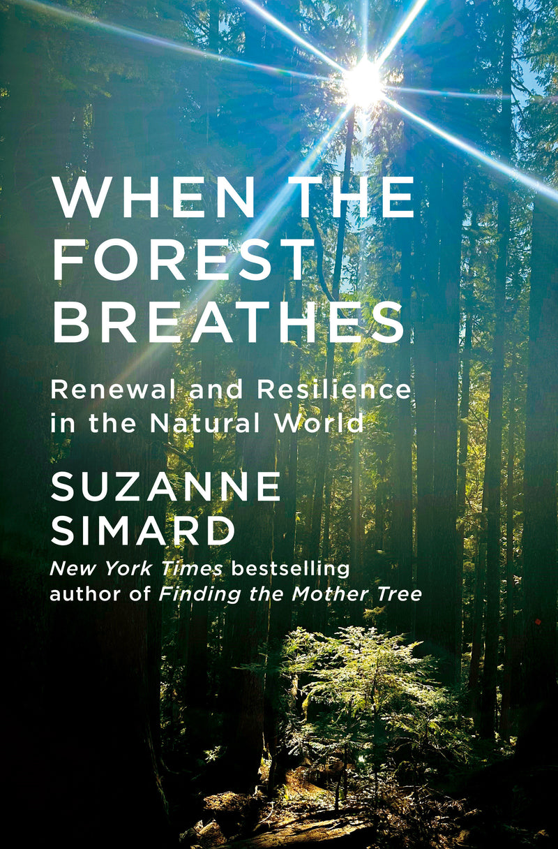 When the Forest Breathes