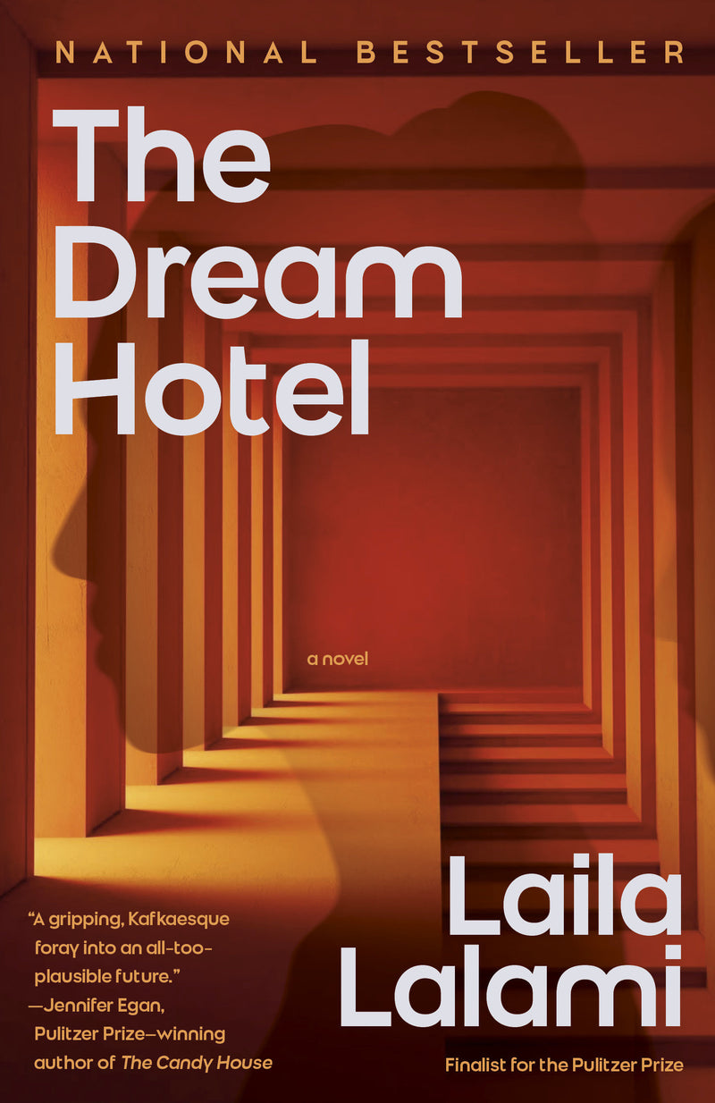 The Dream Hotel:A Novel
