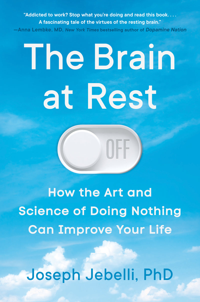 The Brain at Rest