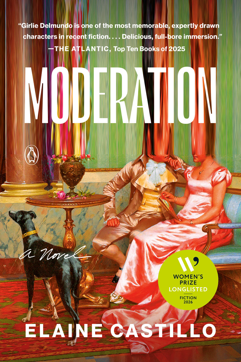 Moderation: A Novel