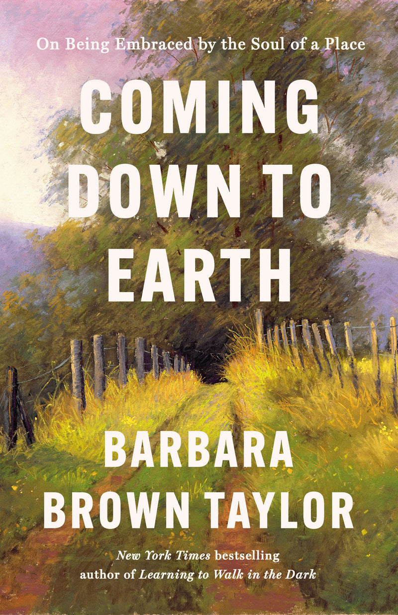 Coming Down to Earth: On Being Embraced by the Soul of a Place
