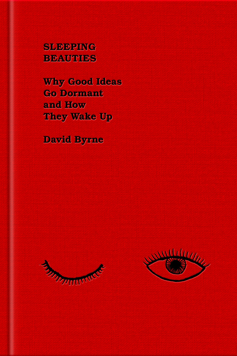 Sleeping Beauties: Why Good Ideas Go Dormant and How They Wake Up