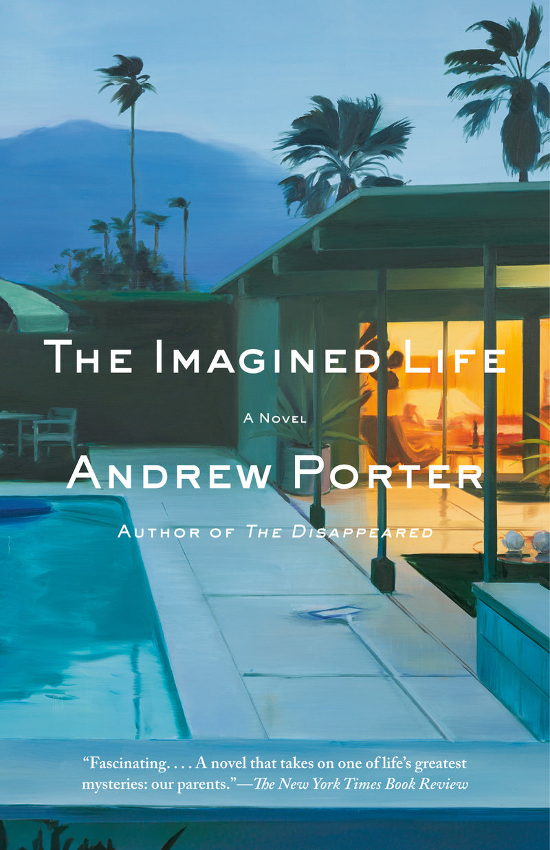 The Imagined Life:A Novel