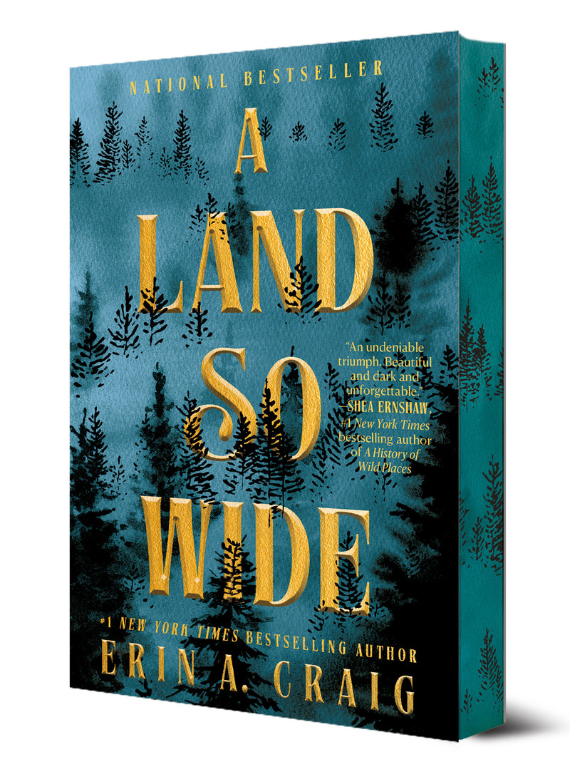 A Land So Wide:A Novel