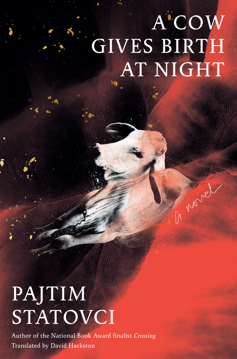 A Cow Gives Birth at Night: A Novel