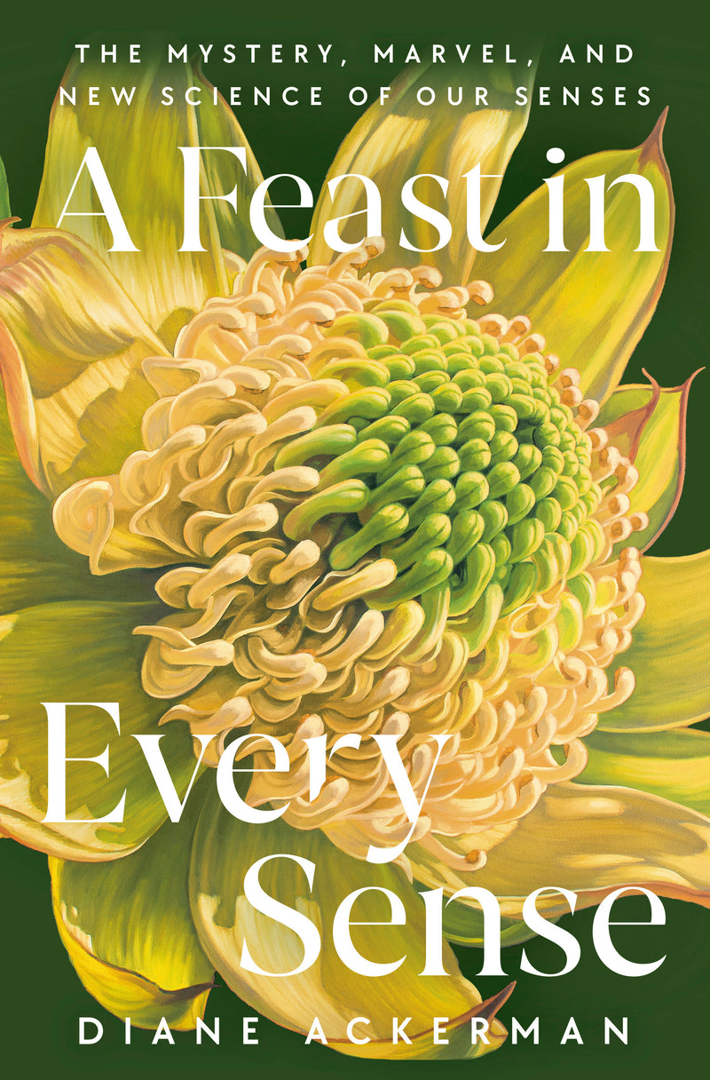 A Feast in Every Sense: The Mystery, Marvel, and New Science of Our Senses
