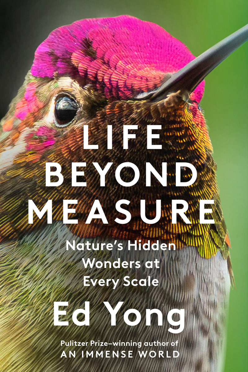 Life Beyond Measure: Nature's Hidden Wonders at Every Scale