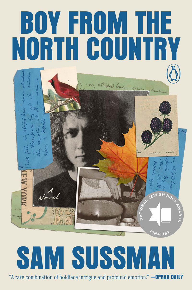 Boy from the North Country: A Novel