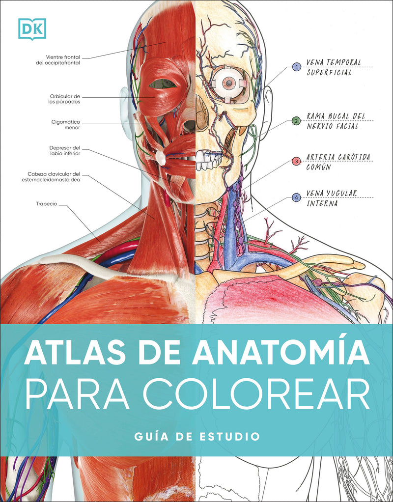 Atlas de anatomía para colorear (The Human Body Coloring Book)