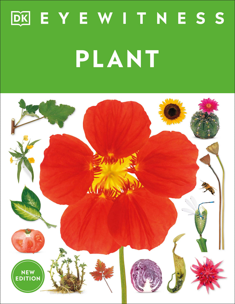 Eyewitness Plant