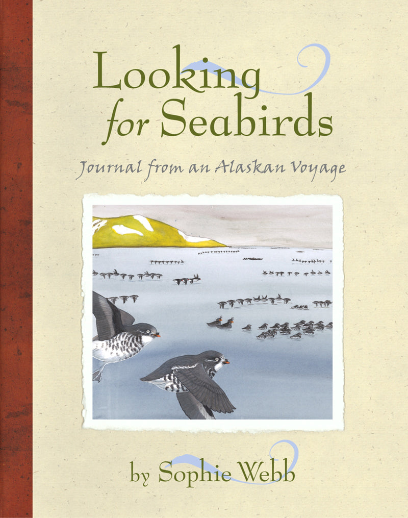 Looking for Seabirds